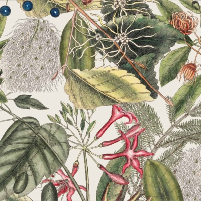 Wallpaper Design: An intricate botanical illustration featuring verdant green leaves, delicate white and orange flowers, vibrant berries, and elaborate vines and roots. The composition is lush and textured on a light background, echoing the diverse flora at Lello's garden center.