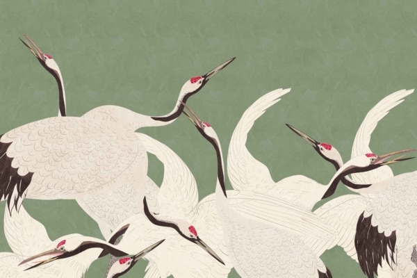 Illustration features multiple white cranes with black wingtips and red crests on a textured green background. Cranes are in various poses, including wings spread and beaks open. Vibrant, dynamic composition with contrasting colors and natural elements.