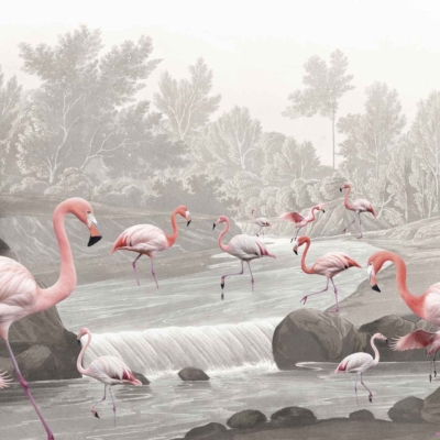 Wallpaper: Group of pink flamingos wading in shallow river with rocks and small waterfalls at Flamingo Vlei. Dense, leafy trees in background with a misty atmosphere. Pink feathers contrast against green foliage and gray natural surroundings.