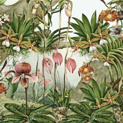 Wallpaper highlights:
- Intricate botanical illustration
- Various species of orchids
- Vivid colors
- Flowers with different shapes and patterns
- Dancing flowers up and down
- Lush green leaves and stems
- Dense and vibrant natural scene
