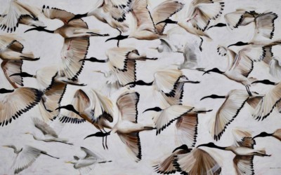 CS & Co Featured Artist: Nicole Sanderson