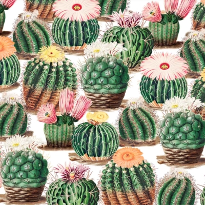 Seamless pattern, green cacti, colorful flowers, pink hues, orange hues, yellow hues, white flowers, intricate details, vibrant botanical design.