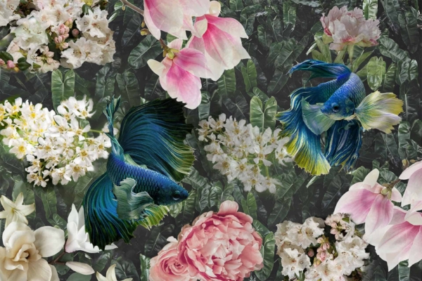 Vibrant blue and green betta fish with flowing fins, large lush flowers including pink magnolias, white hydrangeas, and soft pink peonies, dark green leafy background.