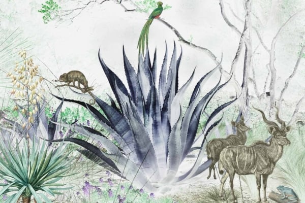 Wallpaper illustration: Features a central large agave plant with dark green, pointed leaves. Surrounding elements include two antelopes, a chameleon on a tree branch, and a green bird perched above. The scene is set among various desert vegetation in soft, muted colors: greens, browns, and subtle earth tones.
