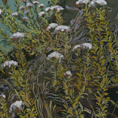 Intricate wallpaper featuring lush green vegetation with small white flowers, detailed foliage, stems creating depth and texture. Subdued background enhances the abundance of delicate, clustered blossoms resembling Metalasia Murikata. Elements: green leaves, white flowers, textured stems. Colors: various greens and whites against a muted backdrop.