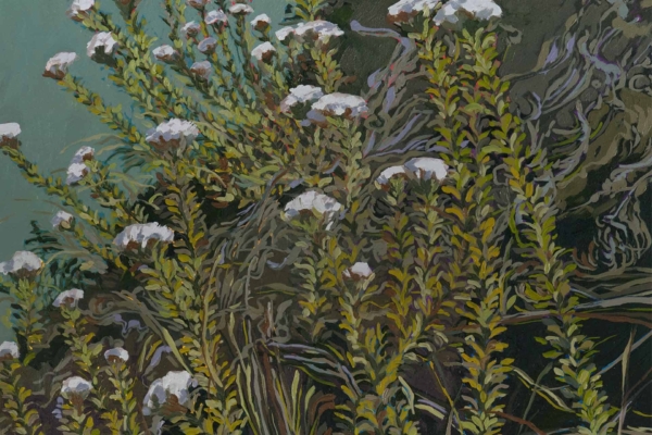 Intricate wallpaper featuring lush green vegetation with small white flowers, detailed foliage, stems creating depth and texture. Subdued background enhances the abundance of delicate, clustered blossoms resembling Metalasia Murikata. Elements: green leaves, white flowers, textured stems. Colors: various greens and whites against a muted backdrop.
