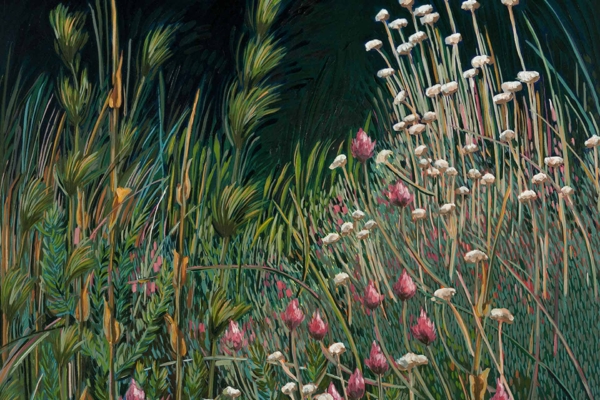 A wallpaper of wildflowers and tall grasses against a dark green background. Pink blooms, small white flowers on thin stalks, lush greenery. Abundance of natural beauty with delicate everlastings in full splendor.