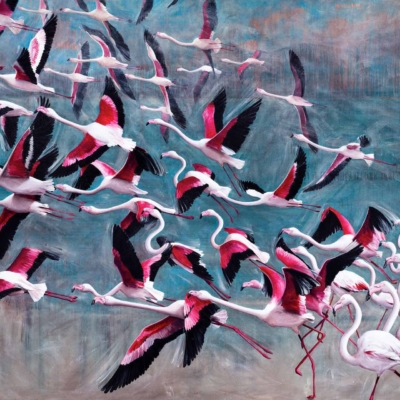 A dynamic wallpaper featuring a vivid scene of flamingos. Flock in flight and wading group, showcasing pink, white, and black feathers. Set against a blue and greenish background for a colorful display.