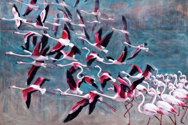 A dynamic wallpaper featuring a vivid scene of flamingos. Flock in flight and wading group, showcasing pink, white, and black feathers. Set against a blue and greenish background for a colorful display.