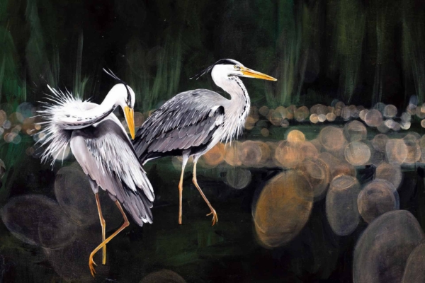 Elegant Grey Herons | one preening, one looking ahead | dark, blurred forest background | large circular bokeh lights | mystical atmosphere | wildlife beauty
