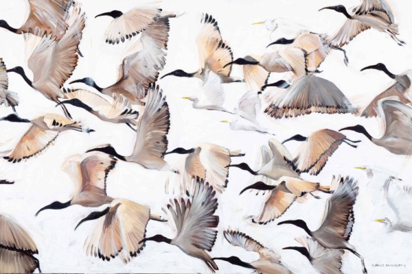 The wallpaper features a dynamic scene of numerous birds in flight, showcasing beige and brown hues with black heads and long beaks. The detailed feathers are set against a white background, creating mesmerizing pockets of air as the birds soar gracefully.