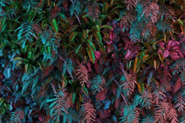A lush wall covered in vibrant foliage depicts a mix of green, blue, and purple leaves. The wallpaper features different plant types including ferns and broad leaves, creating a textured and colorful display. It is illuminated by soft, multicolored light reminiscent of 1999 aesthetics.