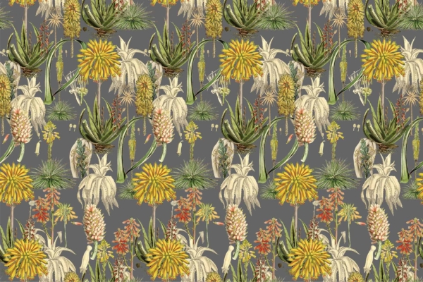 A detailed wallpaper pattern showcasing a variety of tropical plants and flowers. It includes blooming Aloe Vera, cacti, and yellow dandelion-like blossoms. The arrangement is dense against a grey background and features rich shades of green, yellow, and earthy tones.