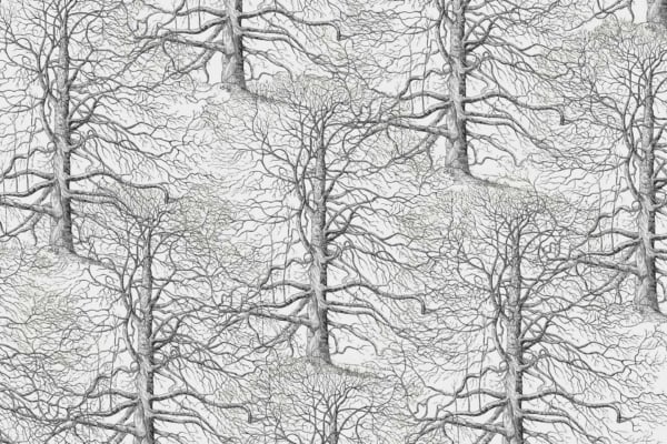 Sure.
The wallpaper features a detailed line drawing of numerous ancient, leafless trees with visible branches and trunks. The densely packed trees form a repetitive and intricate pattern, creating an almost hypnotic web of lines against a white background.
**Elements:**
- Detailed line drawing
- Ancient, leafless trees
- Intertwined branches and trunks
- Repetitive pattern
- Hypnotic web of lines
**Colors:**
- Black or dark gray lines on a white background