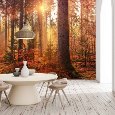 A large, vivid mural of an autumn sunlit forest features warm oranges, deep reds, and golden yellows. Soft light filters through the trees, casting gentle shadows. Rich browns and greens create depth and enhance the cozy atmosphere. This stunning wallpaper brings nature indoors with vibrant colors and serene light effects.