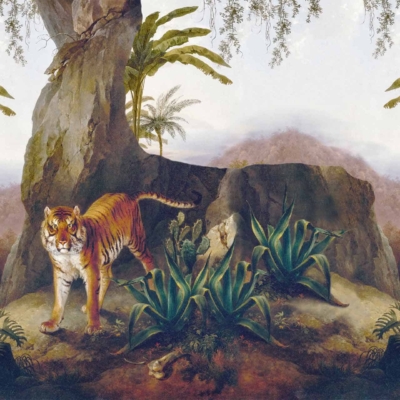 Majestic tiger, rocky outcrop, lush greenery, palm trees, large succulent plants, distant mountains, misty background, serene jungle setting. Colors: vibrant greens, earthy browns and grays of rocks and tiger's fur, soft blue-gray of mist-shrouded mountains.