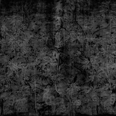 A dark, textured wallpaper showcasing an intricate botanical pattern of flowers, leaves, and branches. The monochromatic design uses various shades of black and grey, creating a mysterious and elegant atmosphere reminiscent of a shadowy forest.