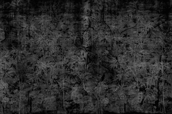 A dark, textured wallpaper showcasing an intricate botanical pattern of flowers, leaves, and branches. The monochromatic design uses various shades of black and grey, creating a mysterious and elegant atmosphere reminiscent of a shadowy forest.