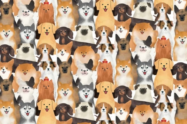 Seamless pattern, illustrated dogs, different breeds, various colors, smiling faces, closely arranged, cheerful collage, vibrant design, bright background, white backdrop. Elements: happy dogs of diverse breeds and hues. Colors: varied dog coat colors (brown, black, white, golden), vibrant and lighthearted tones.