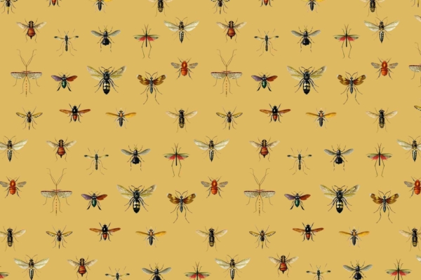 Repeating pattern of insects on mustard yellow background. Includes butterflies, wasps, mosquitoes, and beetles. Detailed illustrations in varying colors and sizes. Intricate and symmetrical design depicting insect life.