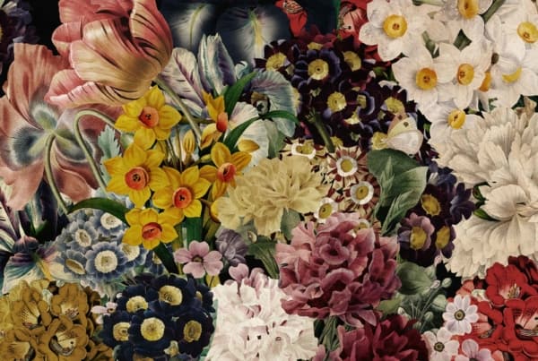 A vibrant collage wallpaper featuring yellow daffodils, white and pink peonies, dark red roses, multicolored pansies, and lush green foliage. The flowers are densely packed for a rich and textured look.