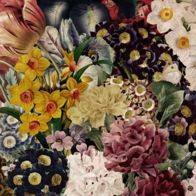 A vibrant collage wallpaper featuring yellow daffodils, white and pink peonies, dark red roses, multicolored pansies, and lush green foliage. The flowers are densely packed for a rich and textured look.