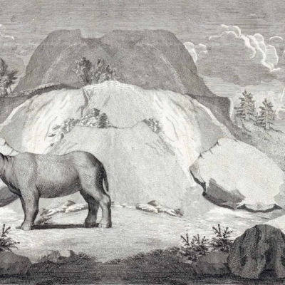 Wallpaper showcases an engraved black and white rhinoceros, now extinct, amid a rocky mountainous backdrop. Large rock formations dominate the background; scattered clouds fill the sky. Sparse vegetation appears in the foreground. Elements: rhinoceros, rocks, mountains, clouds, sparse plants. Colors: black and white.
