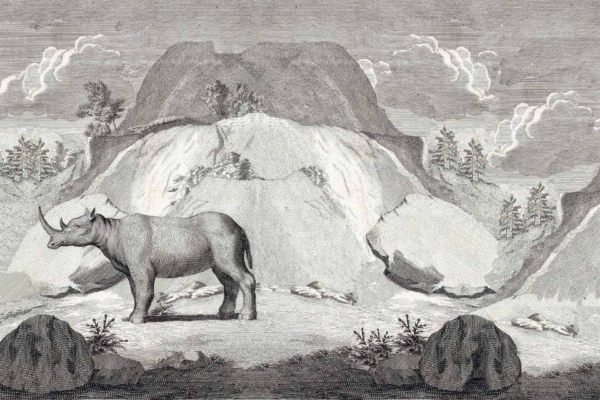 Wallpaper showcases an engraved black and white rhinoceros, now extinct, amid a rocky mountainous backdrop. Large rock formations dominate the background; scattered clouds fill the sky. Sparse vegetation appears in the foreground. Elements: rhinoceros, rocks, mountains, clouds, sparse plants. Colors: black and white.