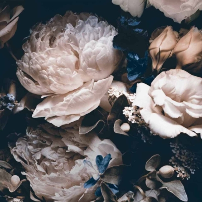 Wallpaper features: 
- Close-up bouquet
- Pale pink, cream, white flowers
- Roses and peonies
- Blue foliage accents
- Green leaves
- Soft lighting for dramatic effect