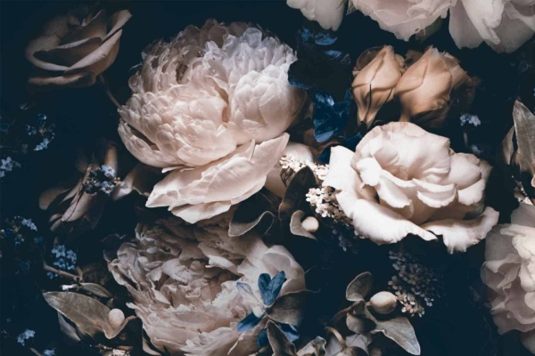 Wallpaper features: 
- Close-up bouquet
- Pale pink, cream, white flowers
- Roses and peonies
- Blue foliage accents
- Green leaves
- Soft lighting for dramatic effect