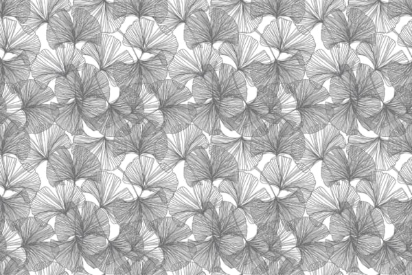 Intricate black and white wallpaper featuring abstract flower-like shapes and Ginkgo leaves. Dense, repetitive pattern with radiating lines. Overlapping, intertwining elements create a textured, hypnotic effect.
