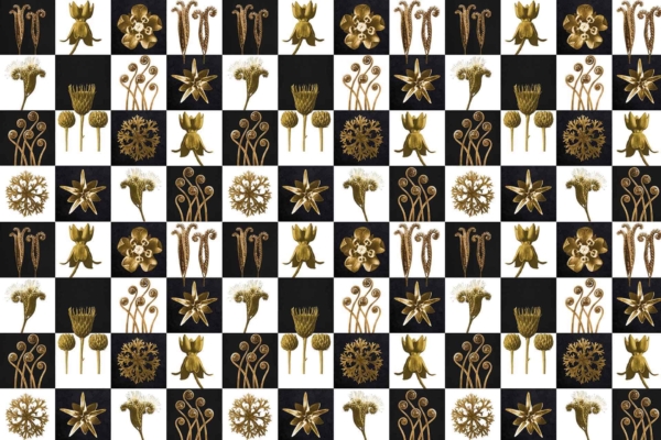 This wallpaper features a Golden Botany pattern of botanical illustrations in a checkerboard layout with alternating black and white backgrounds. The design includes gold-colored flowers, leaves, and spiral motifs, all arranged in a uniform, repeating sequence.