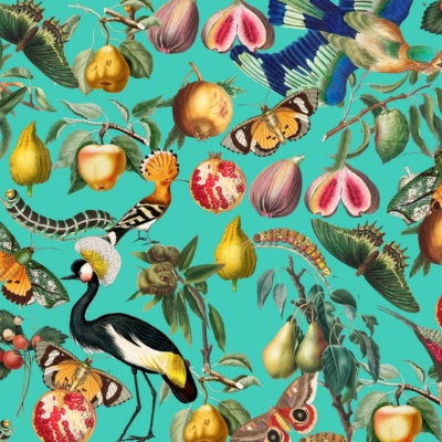 A vibrant wallpaper collage with diverse birds, butterflies, and fruits set against a turquoise background. The detailed illustrations feature a crane, an owl, and a woodpecker mixed with pears, pomegranates, peaches. Abundant leaves and flowers add to the rich tapestry of colors including bright blues, pinks, greens, yellows, and oranges.