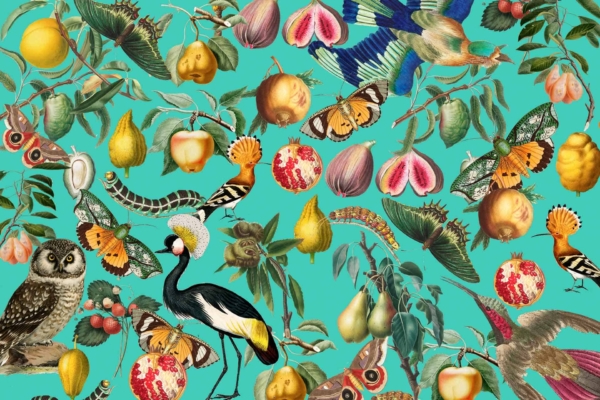 A vibrant wallpaper collage with diverse birds, butterflies, and fruits set against a turquoise background. The detailed illustrations feature a crane, an owl, and a woodpecker mixed with pears, pomegranates, peaches. Abundant leaves and flowers add to the rich tapestry of colors including bright blues, pinks, greens, yellows, and oranges.
