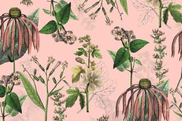 Seamless botanical pattern wallpaper featuring detailed illustrations of various flowers and leaves on a soft pink background. The delicate arrangement includes green stems, green leaves, and flowers with accents of yellow, white, and pink. Inspired by Julie's artistry.
