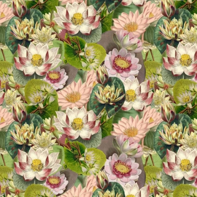 A vibrant wallpaper pattern featuring various lotus flowers and leaves in shades of pink, white, and green. The intricately detailed flowers showcase different stages of blooming, brimming with life. These are surrounded by lotus pads on a soft, light greenish background. Key elements: lotus flowers, bloom stages, pink shades, white tones, green shades/leaves/pads.