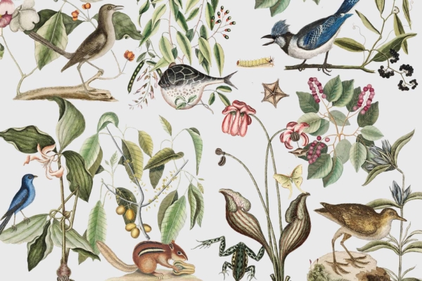 Intricate wallpaper features various birds perched on branches, flowers, and leaves. A chipmunk holding a nut is included among vibrant foliage elements like flowers and berries. Colors include shades of green for leaves, reds and pinks for flowers, browns for the chipmunk and branches, with diverse hues of birds adding pops of blues, yellows, and more. Detailed scene highlights Great and Small creatures amidst a lush backdrop.