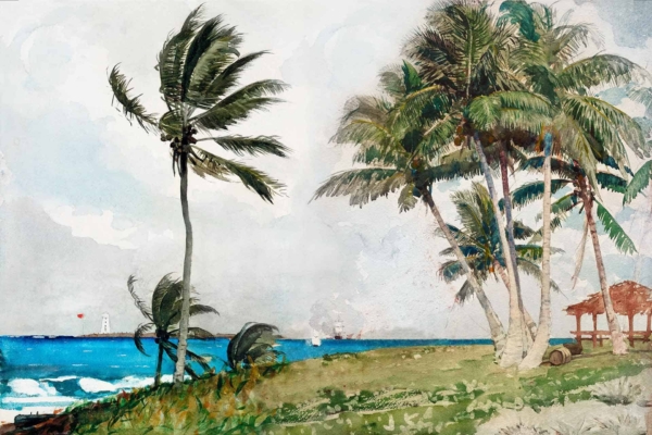 Colorful wallpaper featuring a tropical beach scene: Tall green palm trees, a small red-roofed hut, distant white lighthouse on horizon, blue ocean, partly cloudy sky. Ideal for travel enthusiasts.