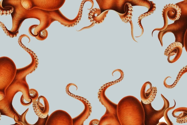 **Wallpaper Description:**
- **Theme:** Octopus tentacles border
- **Background Color:** Light blue
- **Tentacle Details:**
- Numerous tentacles curling inwards toward the center
- Detailed suction cups
- Smooth, flowing curves
- **Center:* Empty, allowing for central focus or text overlay
*Inspired by "My Octopus Teacher," creating a serene and intricate aquatic design.*