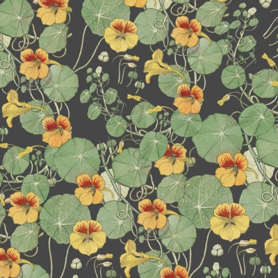 Intricate green lily pads, vibrant yellow flowers with red centers, Nasturtium blooms; dense botanical elements; dark background.
