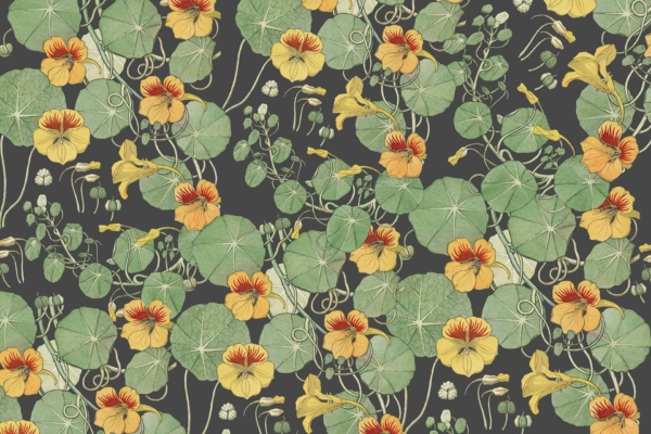 Intricate green lily pads, vibrant yellow flowers with red centers, Nasturtium blooms; dense botanical elements; dark background.