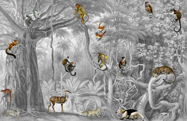 Wallpaper features a dense jungle scene with various animals: monkeys, birds, and a leopard on tree branches; an okapi and small mammals on the ground. Background has detailed foliage and jungle plants in grayscale, highlighting natural intricacies. Elements include animals, trees, detailed leaves; colors are mainly grayscale for foliage with subtle shades for animals.