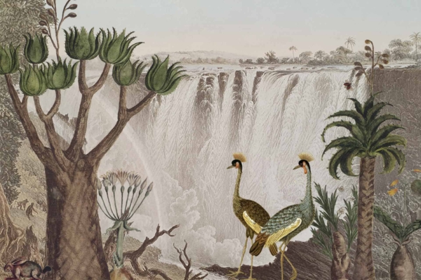 This wallpaper showcases a large, majestic waterfall cascading into a serene river. Surrounding the water are lush, vibrant greenery with various exotic plants and trees. In the foreground, two birds with ornate crests stand elegantly among colorful flora. Elements include waterfall, river, lush greenery, exotic plants, trees, birds with crests. Colors predominantly feature shades of green and blue interspersed with tropical bursts of color from the flora and bird feathers.