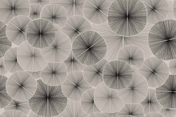 Dynamic spirograph design wallpaper with overlapping circles radiating fine pencil lines. Varying shades of grey create an intricate, textured composition. The circles differ in size and intensity, forming a visually engaging abstract pattern. Elements: overlapping circles, pencil lines, various grey shades, intricate spirograph-like texture.