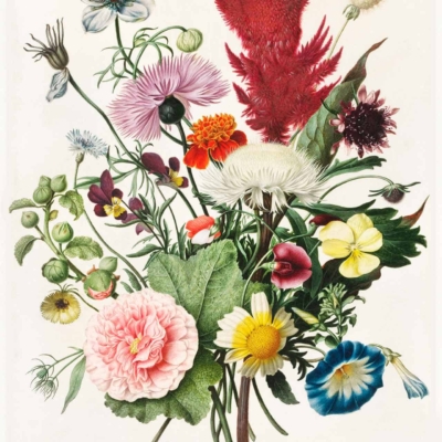 A colorful botanical wallpaper featuring an arrangement of roses, daisies, poppies, and morning glories. Detailed, vibrant colors such as red, pink, white, yellow, blue and orange are used. Intricate textures highlight the elegant petals and leaves. The neutral background enhances the charm of this flower posy while radiating love through their beauty.