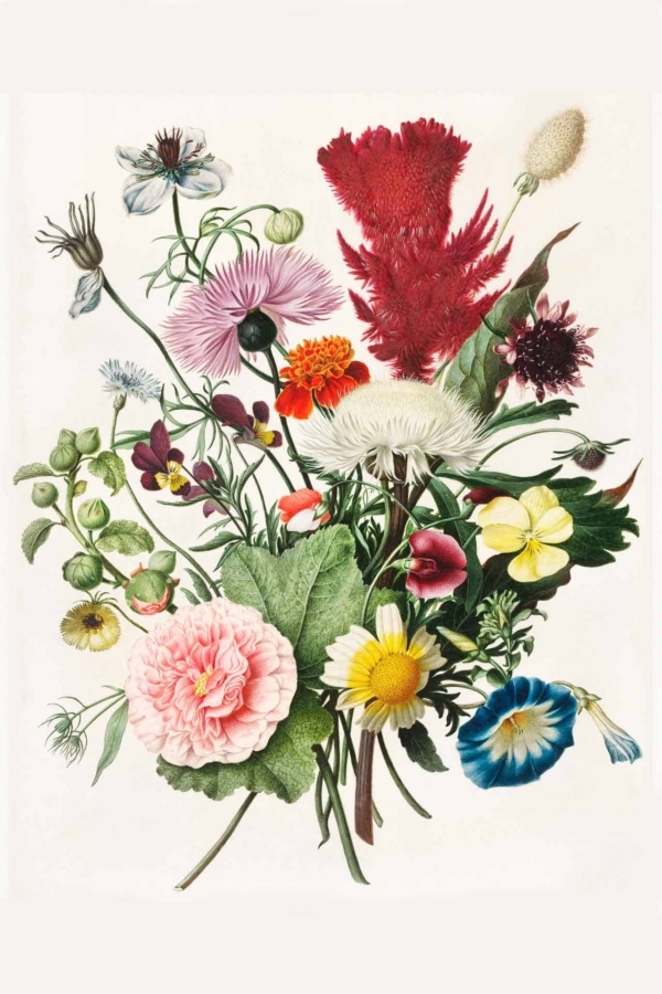 A colorful botanical wallpaper featuring an arrangement of roses, daisies, poppies, and morning glories. Detailed, vibrant colors such as red, pink, white, yellow, blue and orange are used. Intricate textures highlight the elegant petals and leaves. The neutral background enhances the charm of this flower posy while radiating love through their beauty.