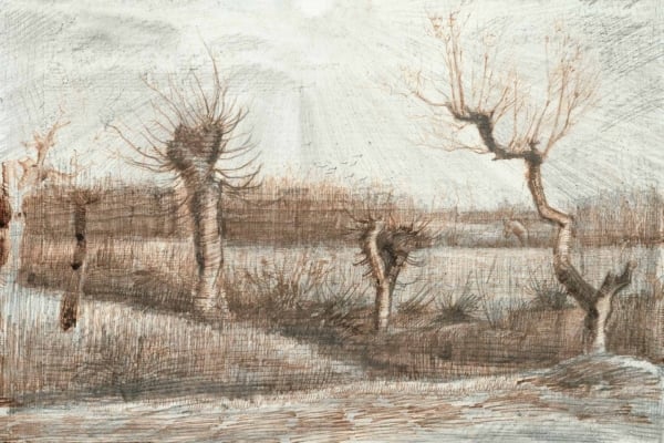 The wallpaper features a winter landscape with bare, twisted trees standing leafless in an open field. The sky above is pale, lightly clouded, creating a serene backdrop. The ground shows textured hints of grass and shrubs. Predominant colors include shades of gray, soft whites, muted browns for the trees and grass textures, and faint blues for the sky. This composition depicts the cold tranquillity of a quiet countryside in winter.