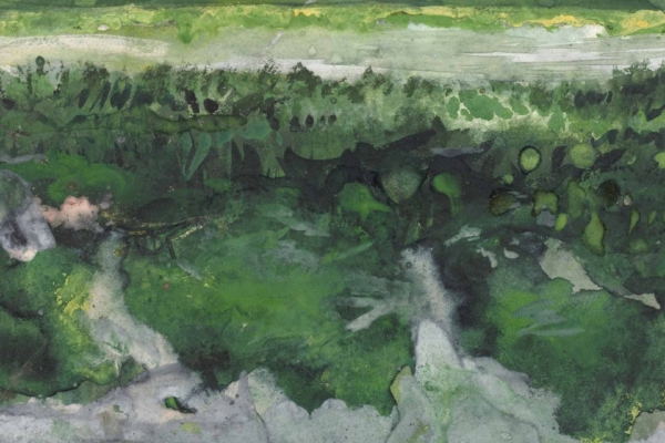 An abstract wallpaper featuring various shades of green blending together, capturing the impression of a dense forest canopy seen from above. The textures vary from smooth to rough, with patches of lighter green interspersed among darker, moss-like areas. Key elements include forest canopy, smooth textures, rough textures, light green patches, and dark moss-like greens.