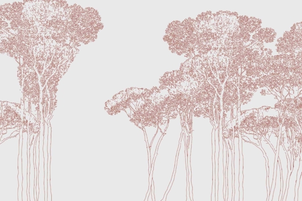 Wallpaper features a minimalist line drawing of tall, slender trees with dense canopies. Intricate branches and leaves in shades of brown on a white background create a stylized, serene forest scene. Ideal for unwinding and relaxation.
