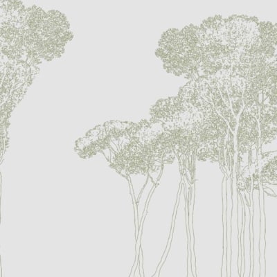 Wallpaper features a minimalist line drawing of tall, slender trees with sparse foliage. The branches and leaves are depicted with intricate, delicate lines, forming an airy and ethereal forest scene. The background is light, enhancing the subtle elegance of the design. Colors primarily include soft blacks for lines on a gentle off-white or pastel background. Key elements: minimalist trees, slender trunks, sparse foliage, intricate branches, ethereal forest scene.